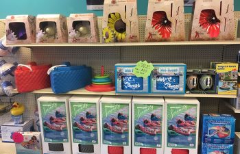 Pool and swim accessories available at Premier Pool Supply, LLC.