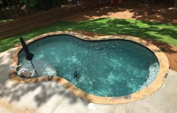 backyard swimming pool of irregular shape